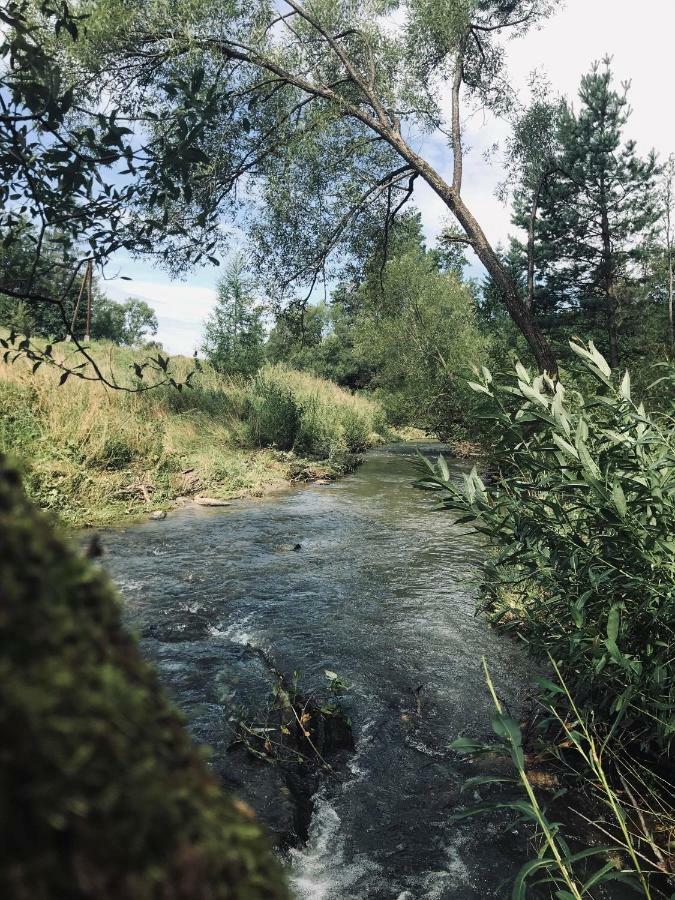 Noclegi Nad Potokiem Czarna  Dış mekan fotoğraf